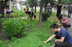 公(gōng)司黨員志(zhì)願者與結對居委一同開展了“清理(lǐ)衛
